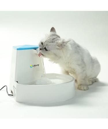 isYoung Pet Fountain  84oz/2.5L Automatic Cat Fountain Dog Water Dispenser for Cats  Dogs - Buy Online on GoSupps.com