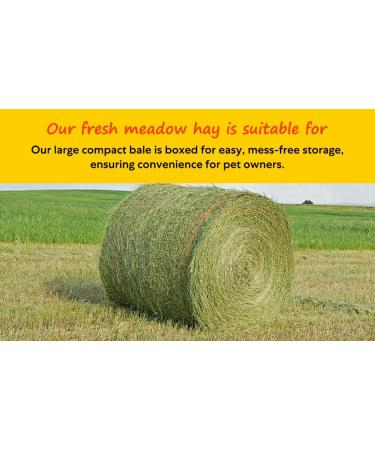 Shorefields Small Compact Meadow Hay Bagged 10kg - Buy Online on GoSupps.com