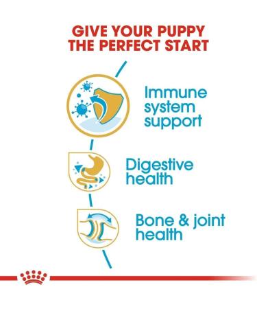 Royal Canin Dog Food Bulldog Puppy 12Kg - Buy Online on GoSupps.com