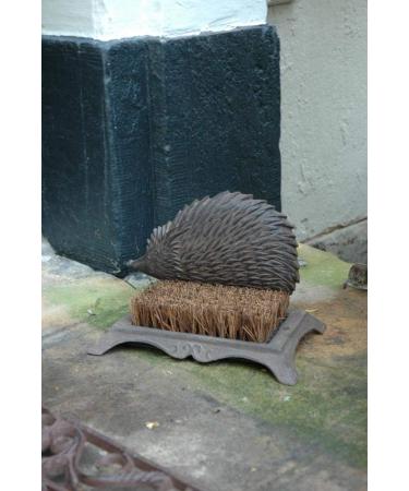Fallen Fruits Hedgehog Boot Brush Brown 6.5 - Single - Buy Online on GoSupps.com