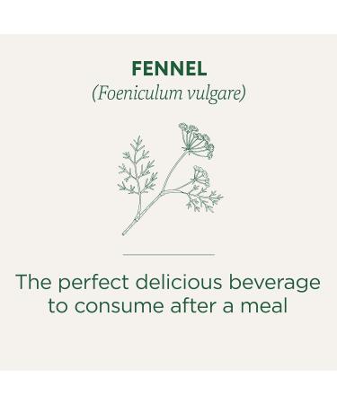 Traditional Medicinals - Organic Fennel Herbal Herbal Tea (Pack of 6) - Delicous Tea After a Meal - 96 Tea Bags Total - Buy Online on GoSupps.com