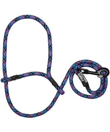 Sullivan Supply Sheep or Goat Halter with Snap Lead in Black, Pink, and Teal - Buy Online on GoSupps.com