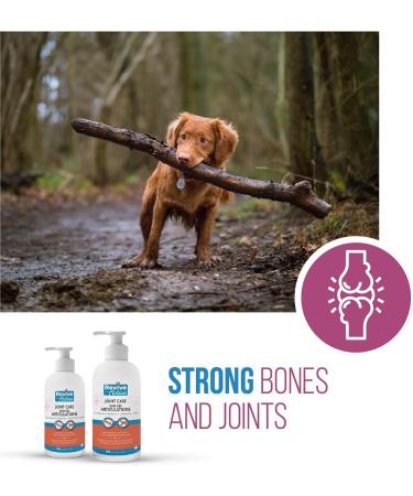 Revive Active Joint Care Liquid for Dogs and Cats 500ml Relieves Inflammation Promotes Optimal Growth and Development Joint Mobility and Good Health. Liquid 500ml - Buy Online on GoSupps.com