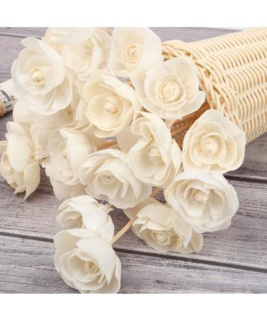Buy Topbathy 16-Piece Rattan Reed Diffuser Sticks - Natural Replacement Sticks for Home Fragrance & Decoration - Buy Online on GoSupps.com