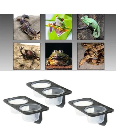 Serenable 3 PCS Reptile Amphibians Chameleon Lizard Feeding Ledge Bowls Double Dish with Suction Cup - Buy Online on GoSupps.com