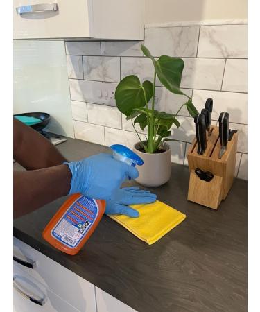 2X Oven Pride Daily Oven and Kitchen Degreaser Spray- 2X 500ml- Removes Tough Grease from Ovens Hobs Extractors Kitchen Surfaces - with Scrubbing Pad 2X Oven Pride Degreaser Spray + Scrubbing Pad - Buy Online on GoSupps.com
