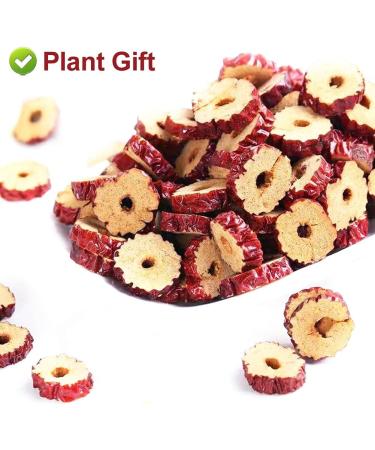 Flower 2 (80G-Red Dates) - Buy Online on GoSupps.com
