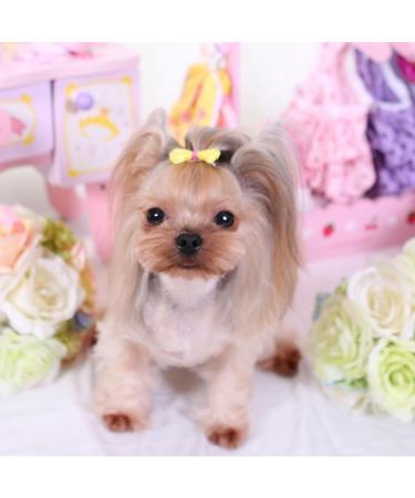 Ebho 10-Piece Small Dog Hair Accessories Set | Rubber Band Loops for Long-Haired Dogs & Cats - Buy Online on GoSupps.com