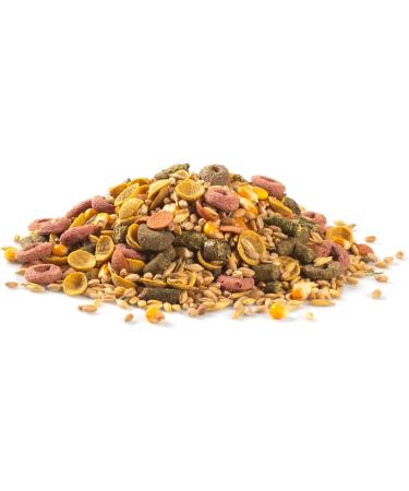 TROPIFIT Guinea Pig 500g - Food for guinea pigs - Buy Online on GoSupps.com