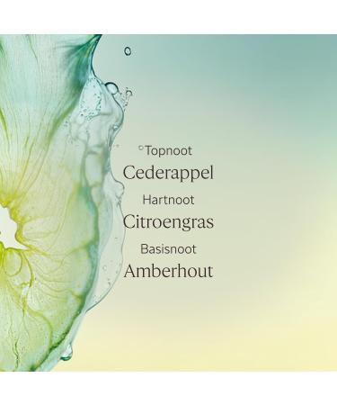 L'OCCITANE LOCCITANE C drat Shower Gel 250 ml Made in France - Buy Online on GoSupps.com