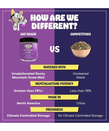 Cat Crack Catnip Premium Blend - Infused with Maximum Potency for Hours of Kitty Fun! 4 Cups - Buy Online on GoSupps.com