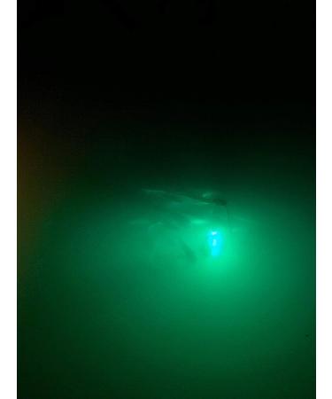 Green LED Underwater Fishing Light - 15,000 Lumen, Waterproof, 30ft Cord - Submersible Dock Light for Bright Night Fishing - Buy Online on GoSupps.com