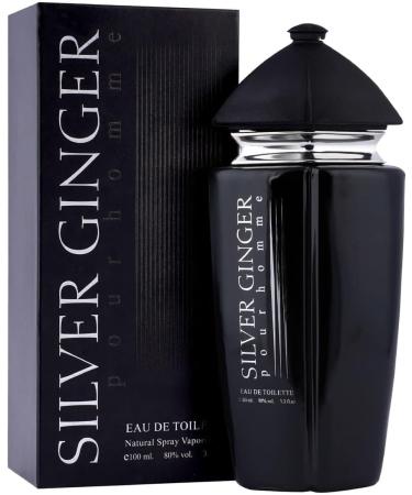 Silver Ginger Long Lasting Men Perfume Aquatic Fresh & Woody Soothing Fragrance | Long Lasting fragrance | 100ml