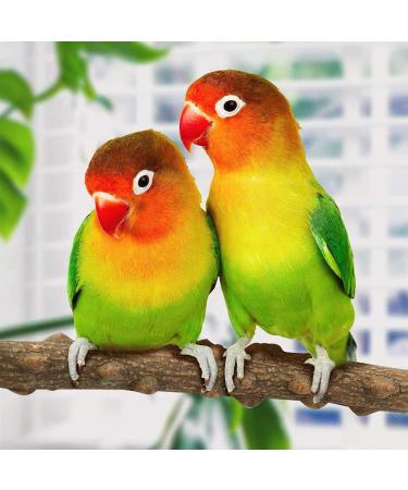 4 Piece Natural Wood Bird Toys Set - Perches Pencil Rods & Accessories for Parrots & Birds - 2 Specs 8 Washers & 4 Wing Nuts - Buy Online on GoSupps.com