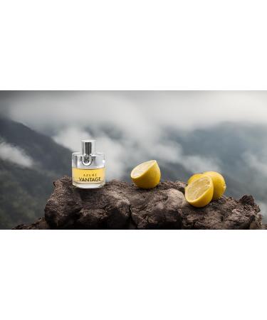 META-BOSEM Set Men's Cologne Collection Eau de Parfum Natural Spray - Woody Notes - Great for Holidays Each 3.4 Fl Oz - Buy Online on GoSupps.com