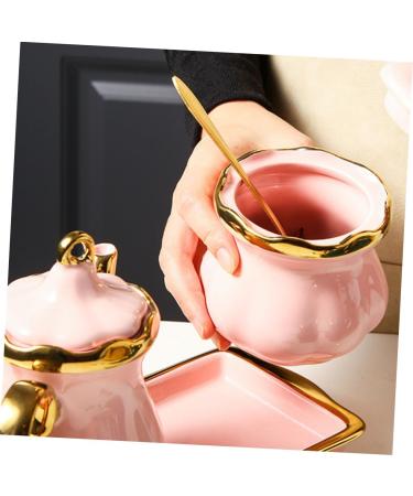 Zerodeko 1 Set Seasoning Jar Set Terrarium Fogger Seasoning Storage Jar Ceramic Seasoning Dish Holder Condiment Jars Salt Shaker Sugar Condiment Jar Stainless Steel Condiment Bottle Nordic 22.5X14CM Pink - Buy Online on GoSupps.com