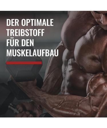 Weider Mega Mass 2000 Weight Gainer - Chocolate 2.7kg | Premium Muscle Building Shake with Whey Protein & Vitamins for Rapid Weight Gain - Buy Online on GoSupps.com