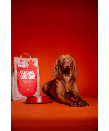Premium Grain-Free Adult Dog Food with Chicken and Fresh Meat - 6KG - Buy Online on GoSupps.com