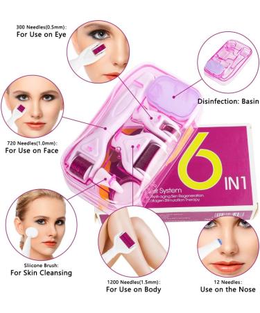 LOPHE 6 in 1 Derma Roller Kit Professional Microneedling Titanium Roller with Disassemble Working Heads 6 in 1 Kit - Buy Online on GoSupps.com