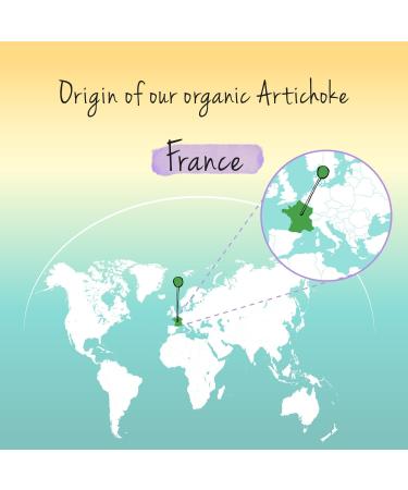Vegavero Organic Artichoke | 2000mg (20:1) Artichoke Extract High Strength | No Leaf Fibre No Inulin | 2.5% Cynarin | NO Additives Lab-Tested | Made in Germany | 120 Artichoke Capsules | Vegan - Buy Online on GoSupps.com