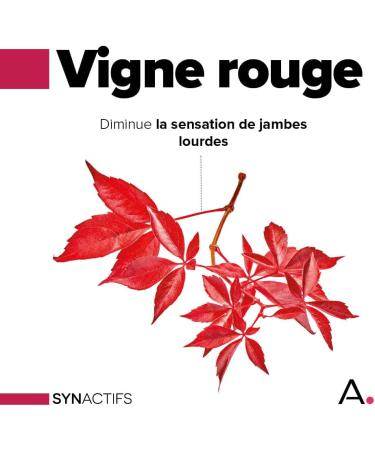 ARAGAN - Synactives - Circactifs Pill Box - Heavy Leg Circulation Food Supplement - Red Vine Grape Lemon Vitamins - 60 capsules - 1 month to 2 months taken - Made in France - Buy Online on GoSupps.com