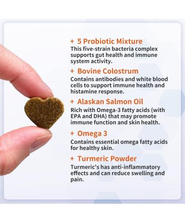 Dog Allergy Relief Chews Itchy Dog Skin Relief With Omega 3 Salmon Oil For Dogs Licorice Root Turmeric Probiotics for Dogs Anti Itch For Dogs Natural Dog Treats (60 Dog Chews) - Buy Online on GoSupps.com