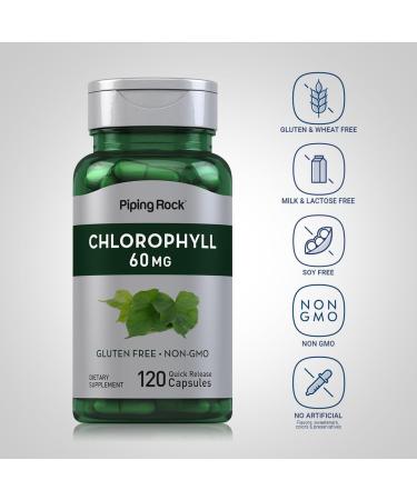 Piping Rock Chlorophyll Capsules | 60 mg | 120 Pills | Supplement for Women and Men | from Mulberry Leaf | Non-GMO Gluten Free - Buy Online on GoSupps.com