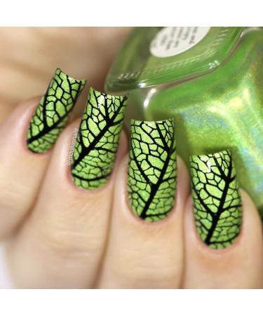 Whats Up Nails B010 Texture Me Nature Stamping Plate - Nail Art Design - Buy Online on GoSupps.com