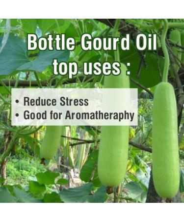 Buy 100% Natural Bottle Gourd Oil (Lagenaria Siceraria) - Pure Carrier Oil 15 ml | Global Shipping Available - Buy Online on GoSupps.com