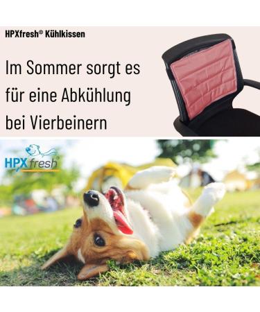 HPXfresh XL Cooling Pad | Natural Cooling Cushion for Seats | Reusable Cold Mat | Comfort & Relief in Coral - Buy Online on GoSupps.com