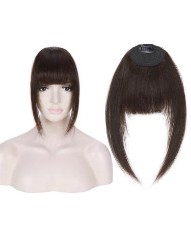 Bangs Clip in Bangs Real Human Hair Bangs for Women Clip on French Bangs Real Hair Nice Natural Flat Neat Bangs with Temples 1Pcs for Women Curved Bangs for Daily Wear (Color : #2)