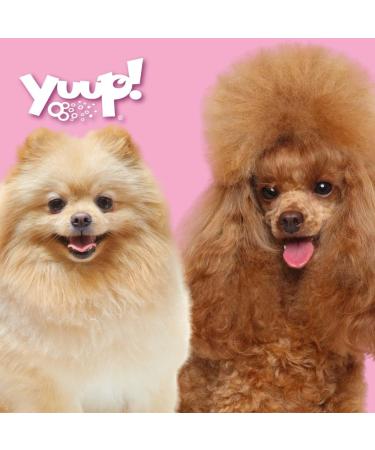 Buy Yuup! Restructuring Silky Spray Serum PINK VELVET - Ultimate Hair Revitalization - Shop Internationally - Buy Online on GoSupps.com