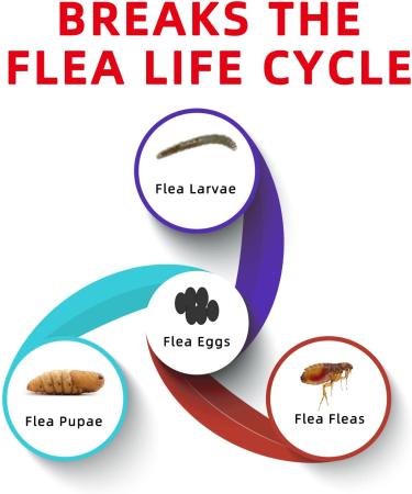 Natural Spot on Flea and Tick Treatment for Large Dogs | Fast-Acting & Waterproof | 3 Pipettes 21-40kg | Flea and Tick Prevention - Buy Online on GoSupps.com