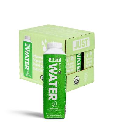 JUST Water Infused - Mint Flavored with Spring Water - Eco-Friendly and Sustainable, Boxed Bottled Water - Low Calorie Beverage with No Artificial Flavors, Alkaline pH of 8.0 - 16.9 oz (Pack of 12) Infused Mint 16.9 Fl Oz (Pack of 12)