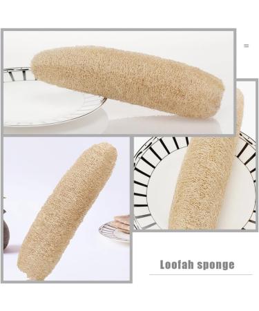 POPETPOP 4pcs Natural Loofah Sponge Set - Exfoliating Shower Scrubber & Eco-Friendly Dish Cleaning Sponge (20-35cm - Buy Online on GoSupps.com