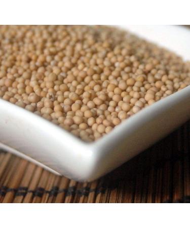 Krauterino24 Krauterino24 - Mustard seeds: 250 g