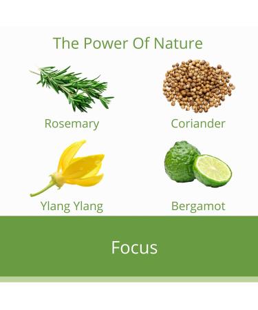 B. Divine Aromatherapy Focus Essential Oil Roll On. 100% Organic therapeutic Oils. 10mls. Clarity Focus Concentration Oil. - Buy Online on GoSupps.com