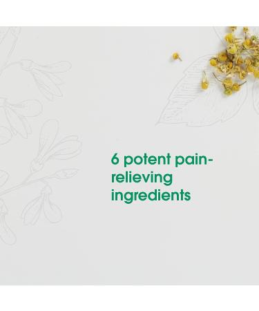 BHI Back Natural Pain Relief Tablets - 6 Active Homeopathic Ingredients for Back, Hip & Leg Pain - Calms Muscle Tightness & Spasms - 100 Tablets - Buy Online on GoSupps.com