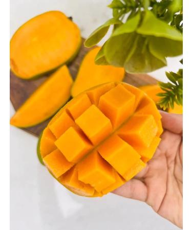 veenas Kesar Mango | 12 Units (App 4KG) |Juicy Mangoes |Fresh Mango Fruit | Natural Fruit | Summar Fruit | Indian Origin - Buy Online on GoSupps.com
