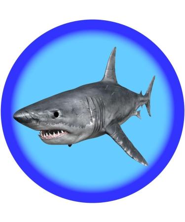 24 Fabulous Pre-Cut Edible Wafer Cake Toppers: Sharks - Buy Online on GoSupps.com