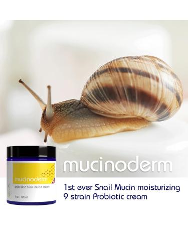 Mucinoderm Snail Mucin Moisturizer - 4OZ Organic Probiotic Korean Skincare for Dry Skin | Intense Care Snail Rescue Cream & Serum - Buy Online on GoSupps.com