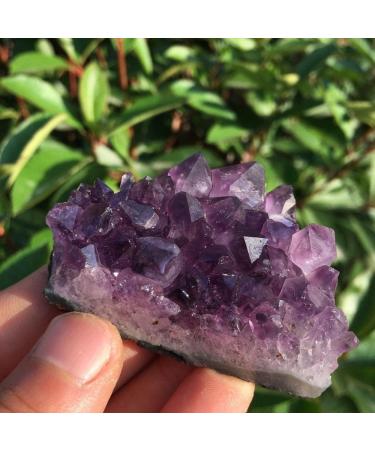 Natural Crystal Rough Natural Amethyst Quartz Crystal Cluster Specimen 50-60g - Buy Online on GoSupps.com