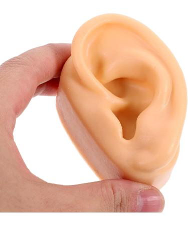 Shop Amosfun Silicone Ear Models - Flexible Body Parts for Realistic Simulation and Earring Display - Buy Online on GoSupps.com