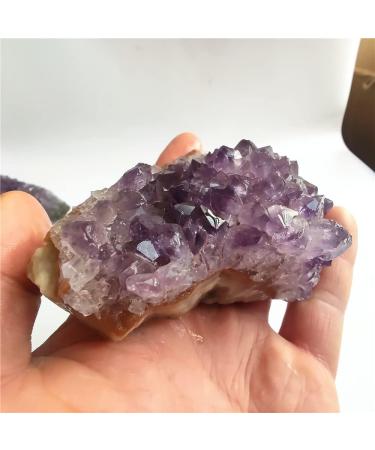 Crystal Natural Big Raw Amethyst Quartz Purple Crystal Cluster Stones Specimen Home Decoration Crafts Amethyst Cluster Ornament Suitable for Home Office Decoration FZUGEDRLI (Size : 200-240g) - Buy Online on GoSupps.com