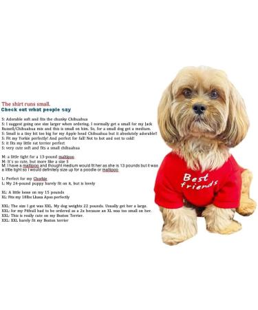 Cute Dog T-Shirt for Medium & Small Dogs - Breathable Pet Costume for Puppies & Cats (S-(48lb) Chest14 Aqua) - Buy Online on GoSupps.com