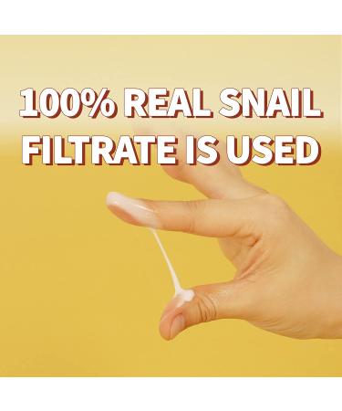 The Skin House Wrinkle Snail System Cream 50ml | Snail Mucin Collagen & Aloe Vera | Paraben & Cruelty Free Korean Skincare - Buy Online on GoSupps.com