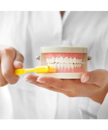 6-Pack Colgate Bunny Kids Toothbrushes - Extra Soft Bristles for Children - Cavity and Gum Protection - Junior Brush - Buy Online on GoSupps.com