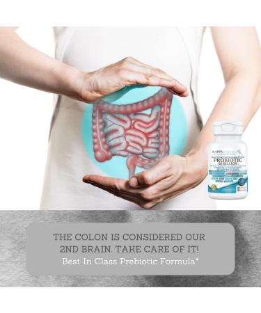 KAPPA NUTRITION Probiotic 60 Billion CFU - 14 in 1 Probiotic for Women  Men & Adults - Shelf Stable & Acid Resistant - Includes Prebiotic Blend - 60 Capsules - Buy Online on GoSupps.com
