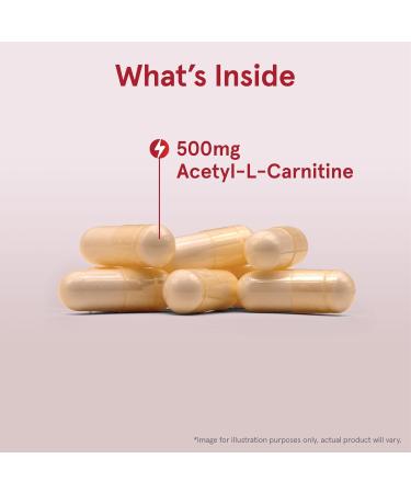 Jarrow Formulas CoQ10 Ubiquinol 100mg Cardiovascular Support & Acetyl L-Carnitine 500mg Brain Antioxidant Veggie Capsules Bundle 120 Count (Pack of 1) CoQ10 + Acetyl L-Carnitine 500 mg - Buy Online on GoSupps.com