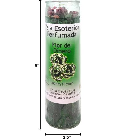 Money Flower Palm Wax Candle - Green | Spiritual Intention Spell Candle | Vela Casa Esoterica Perfumed (Flor Del Dinero) - International Shipping Available - Buy Online on GoSupps.com